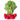 Radish