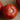 Sauce Tomatoes (Seconds)