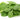 Spinach