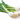 Summer Onions