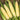Sweet Corn - Each